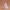 Decorated Christmas Tree – Festive 3D Model