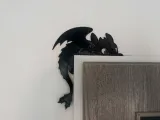 Night Fury Toothless door decor-0