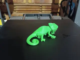 Chameleon