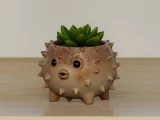 Spiky Hedgehog Succulent Planter-0