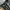 Rapture / Ares Wing Sim Rig Tool Mount