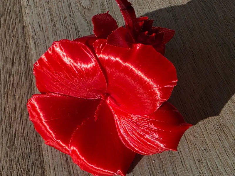 Flor Hibiscus Moscheutos