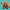 Cute Shooky Cookie - K-Pop Desktop Decor: Stylized Chibi 3D
