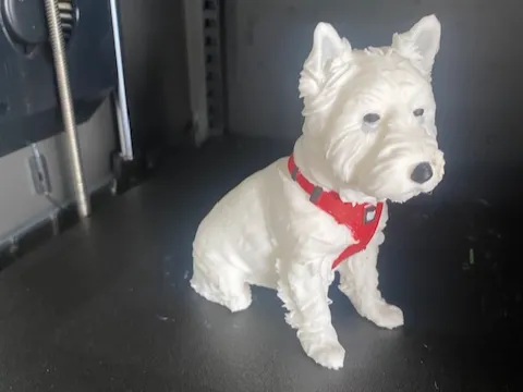 westy dog