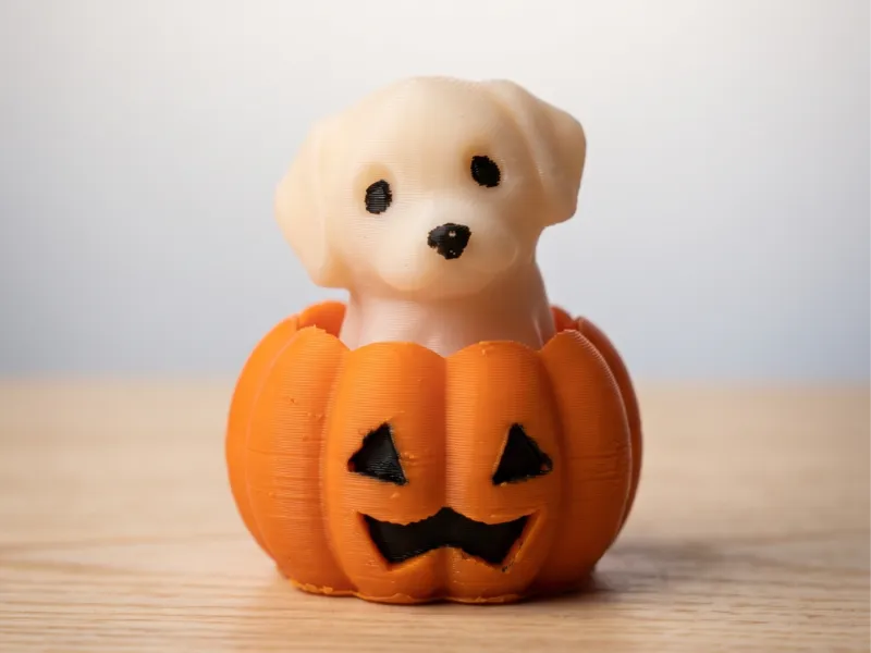 🐶 Balkabağındaki Yavru Köpek