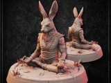 Rabbitfolk Monk-0