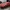 BYD Car model car
