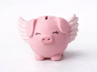 Flying Pig