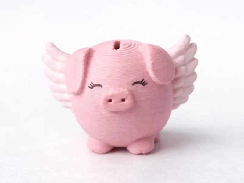 Flying Pig