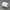 🛞 Hexagonal Ribbed Wheel Valve Dust Cap