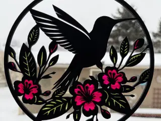 Hummingbird Reflection