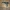 Cartelli Wall Buy di Zombies (Ray Gun & MP40) FanArt