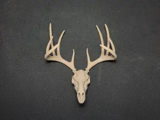 Magnetic Deer Skull Note Holder