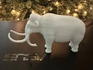 Wolly Mammoth
