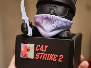CatStrike2