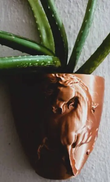 Wall Plant Pots Collection-0