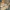 Wall mount for Japanese saws -