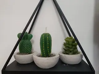 Decorative Wall Shelf