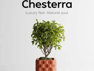 Plant Pot Chesterra – Luxury feel. Natural soul.d
