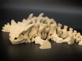 Dino Skeleton Flexi-0