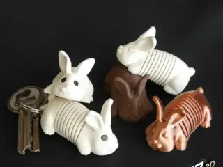 Springy Bunny