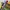Marvel_bookMarkers
