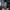 Busto de Elon Musk – Retrato Visionário da SpaceX