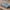 M1128 mobile gun system