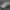 Ford Falcon BA XR8 2003