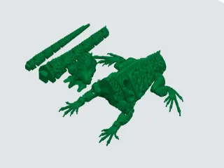iguana