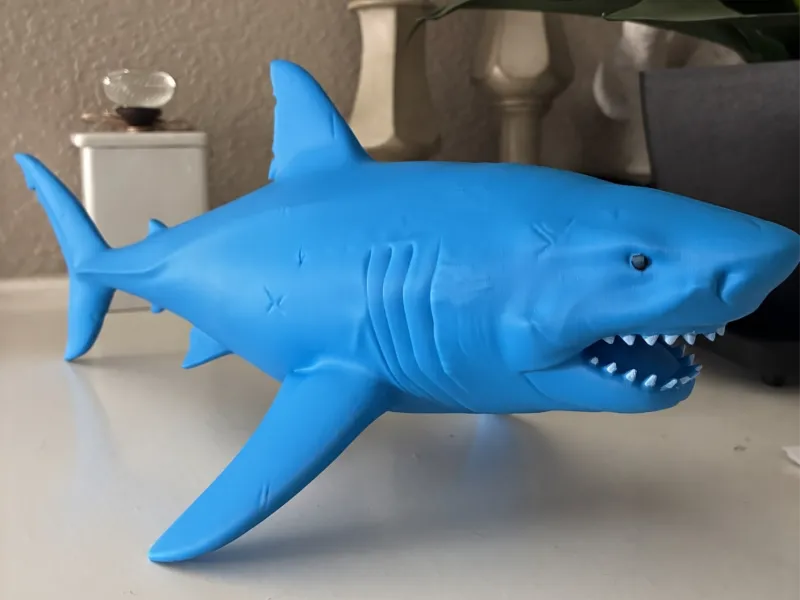 Modello realistico di Megalodonte
