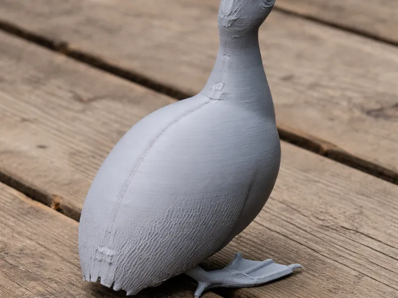 Tinamou Bird