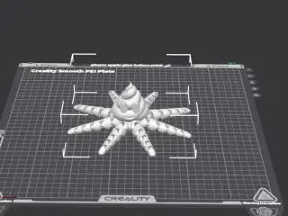 Pooctopus