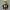 MARVIN THE MARTIAN - DESPIECE - NO AMS