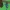 minecraft scene