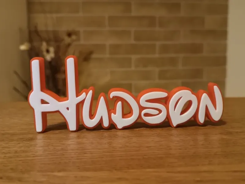 Nome decorativo Hudson Disney