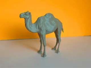 Camel