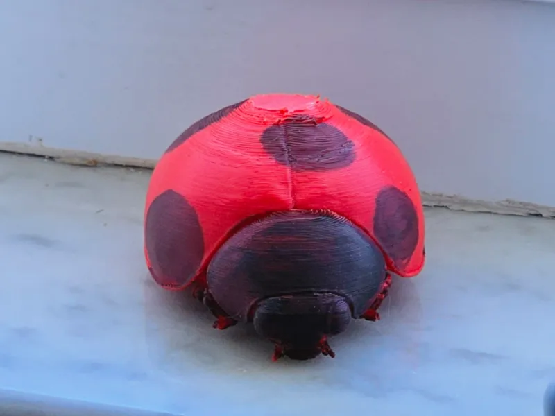 Lady Bug
