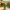 Cactus potted plant squeezing toy仙人掌盆栽按压玩具