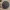 Cute Cat ball, Toy, pet Toy. pet item