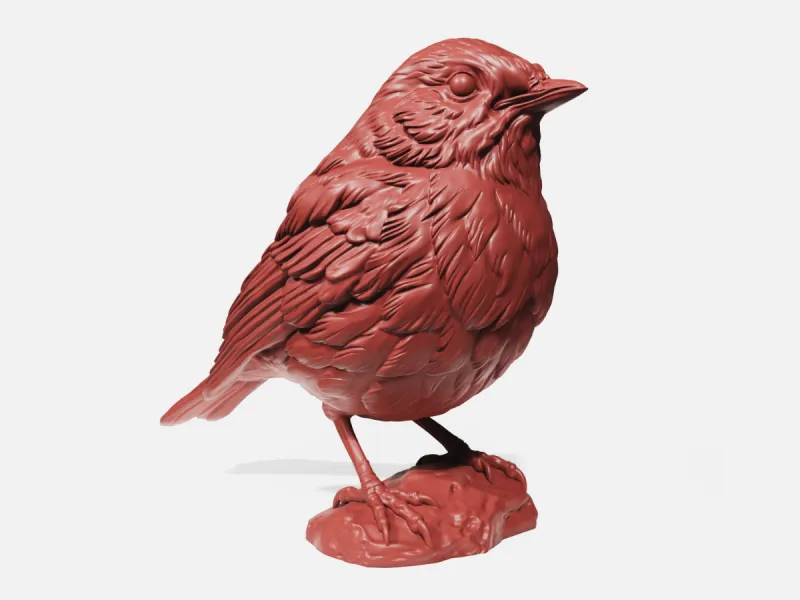European Robin