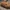 flexitoy_1791853658433