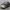 Daihatsu Copen 2002