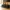 TacoCove: Drie-sleufs tacohouder