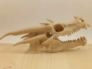 Dragon Skull