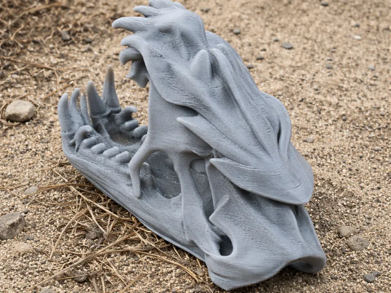 Atlantic Marlin Skull