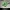 Pikselli Kabartmalı Creeper Anahtarlığı (Minecraft)