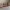 Miniature Valla _ madera _ 6