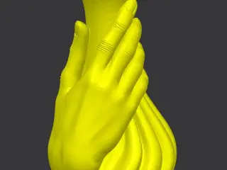 Hand Vase
