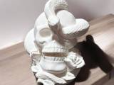 Skull with snake-0
